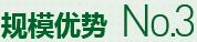 購(gòu)買(mǎi)蔬菜種子，鼎牌優(yōu)勢(shì)三