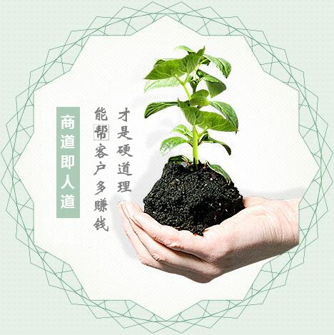蔬菜種子經(jīng)營(yíng)，商道即人道