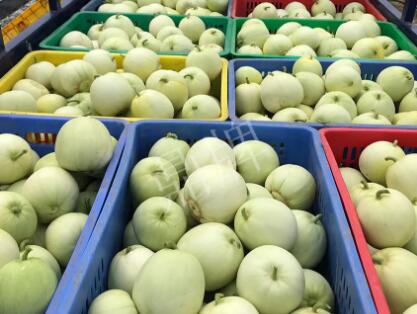 蔬菜種子種植戶客戶點評-5元1斤，這個新品種真香甜！
