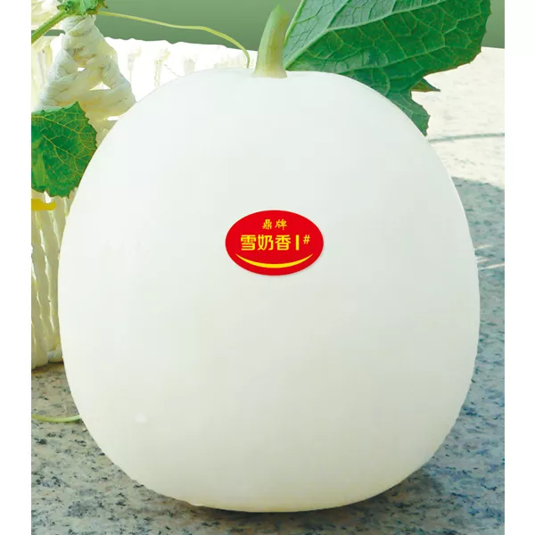 薄皮甜瓜，哪個品種最好呢？畝產(chǎn)高達10萬，附4種市場爆款品種