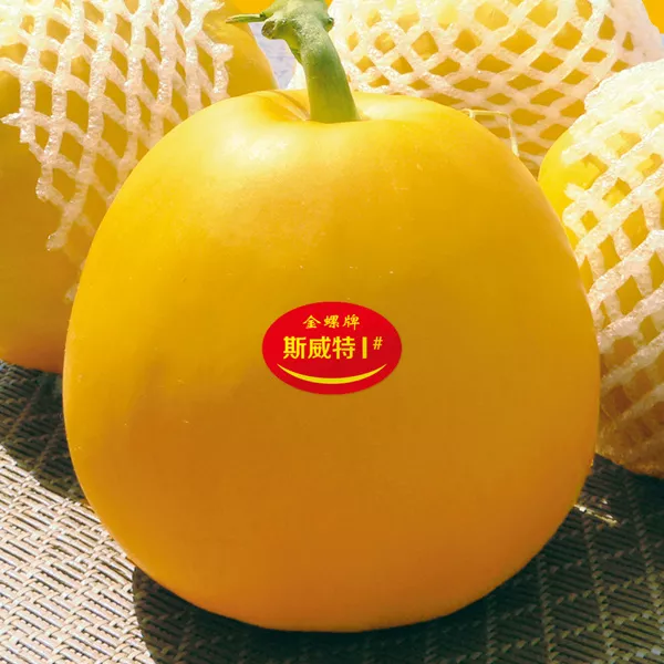 薄皮甜瓜，哪個品種最好呢？畝產(chǎn)高達10萬，附4種市場爆款品種