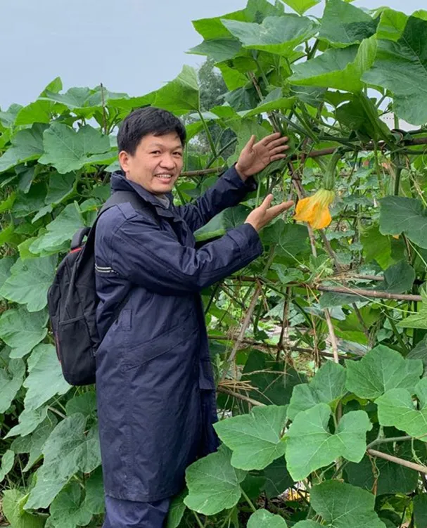 3元1斤的健美蜜本南瓜快成熟了，緬甸種植戶發(fā)來圖片與視頻