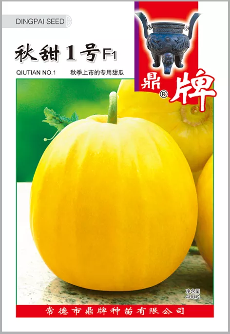 高溫季節(jié)種植甜瓜，什么品種最好？這個品種是秋季上市的專用品種