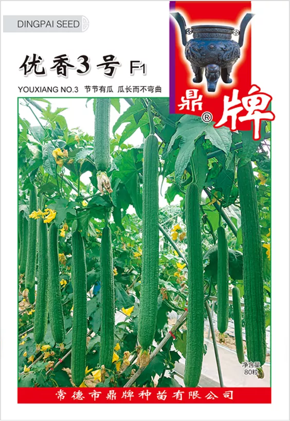 它是絲瓜種植戶的新選擇，節(jié)節(jié)有瓜，瓜長而不彎曲
