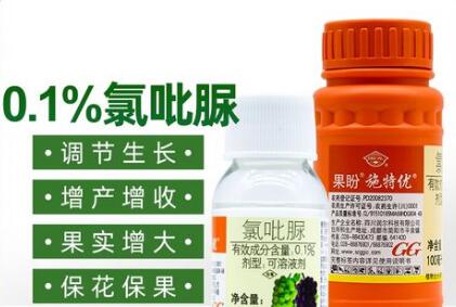 蔬菜種子栽培技術(shù)-<b>正確使用“氯吡脲”，瓜類增產(chǎn)30～50%</b>