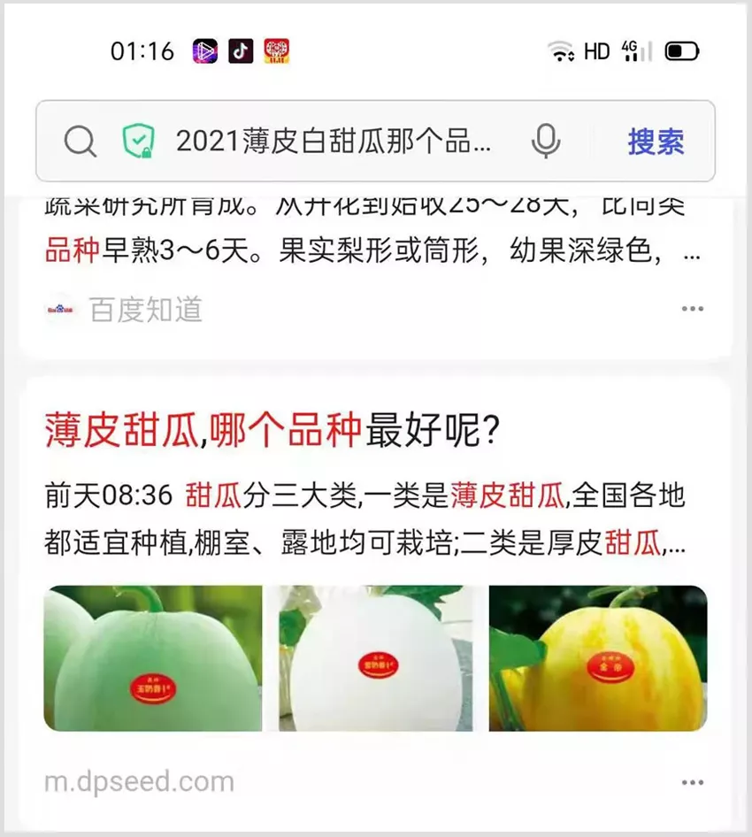 河南焦作的李向林今年種植甜瓜新品種，客戶直接拉貨走人