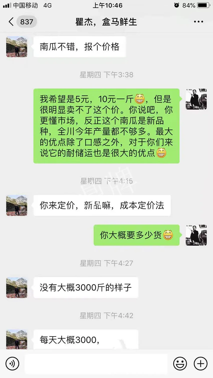 四川農(nóng)戶今年種“健美蜜本”南瓜產(chǎn)量高，品質(zhì)好，感覺巴適得很