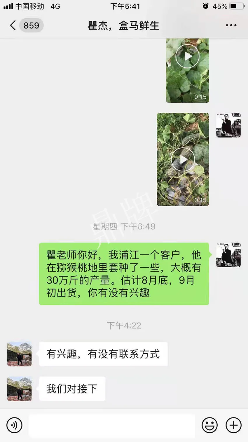 四川農(nóng)戶今年種“健美蜜本”南瓜產(chǎn)量高，品質(zhì)好，感覺巴適得很